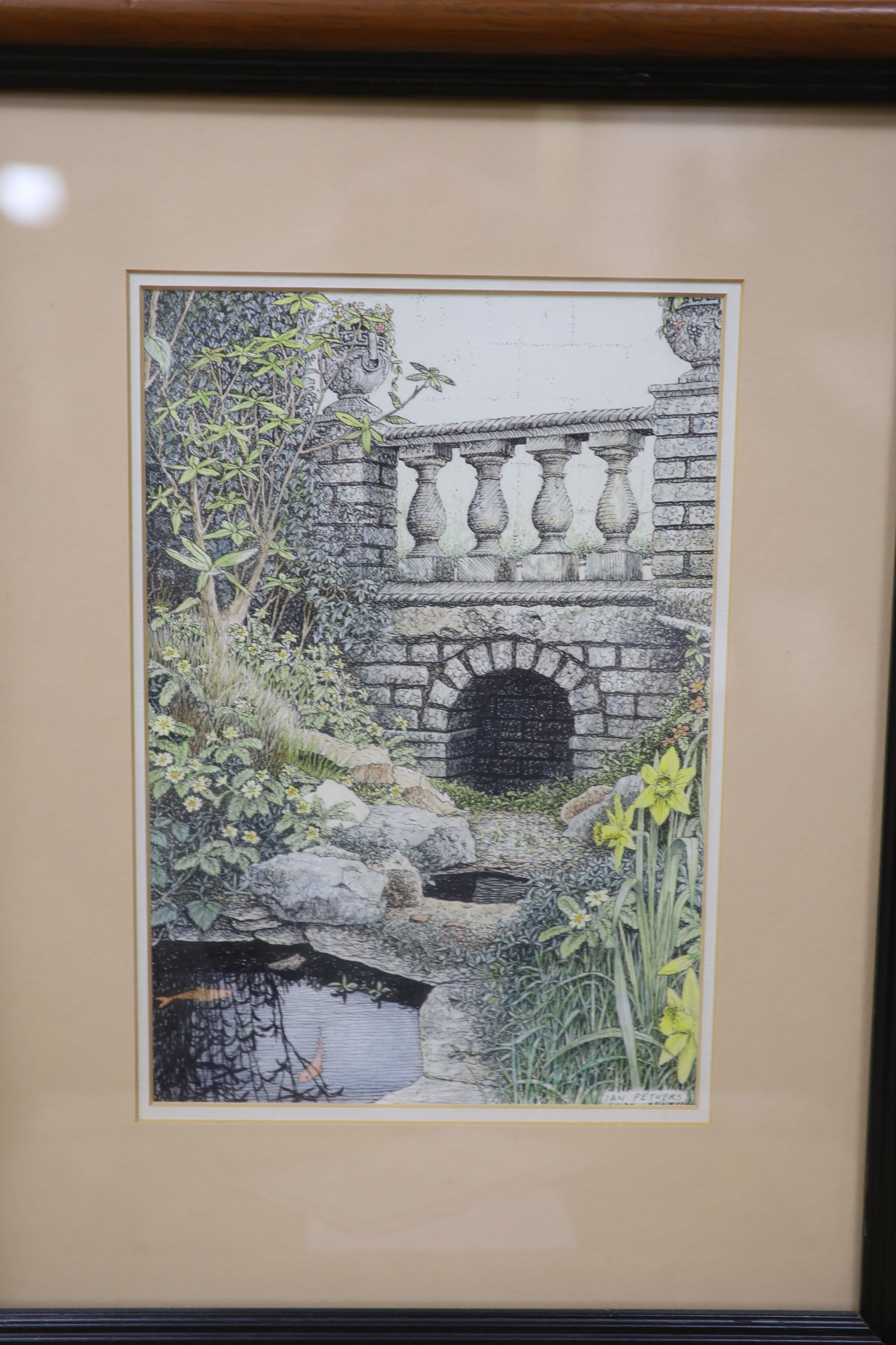 Ian Pethers SBA, six pen and wash drawings, Daffodils at Cotehele, Cornwall and water garden scenes, signed, most with exhibition labels, largest 26.5 x 18cm